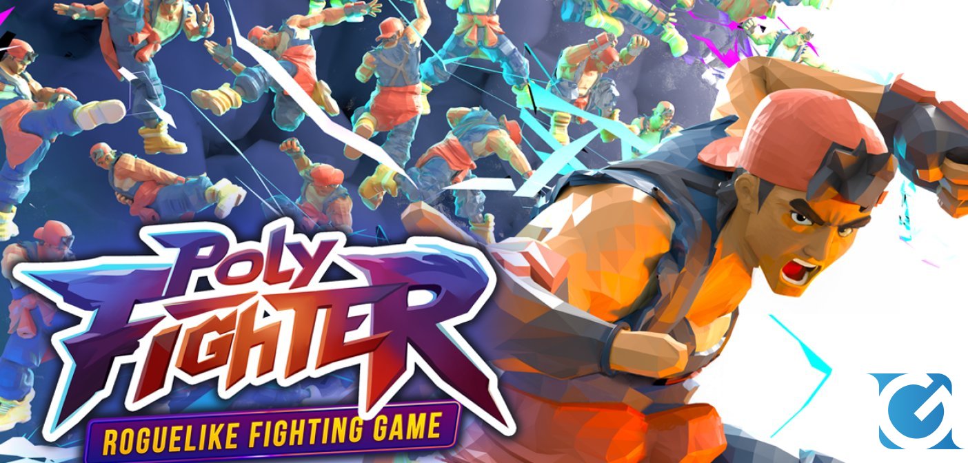 Poly Fighter